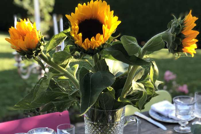 Family dinner 24 Aug 19